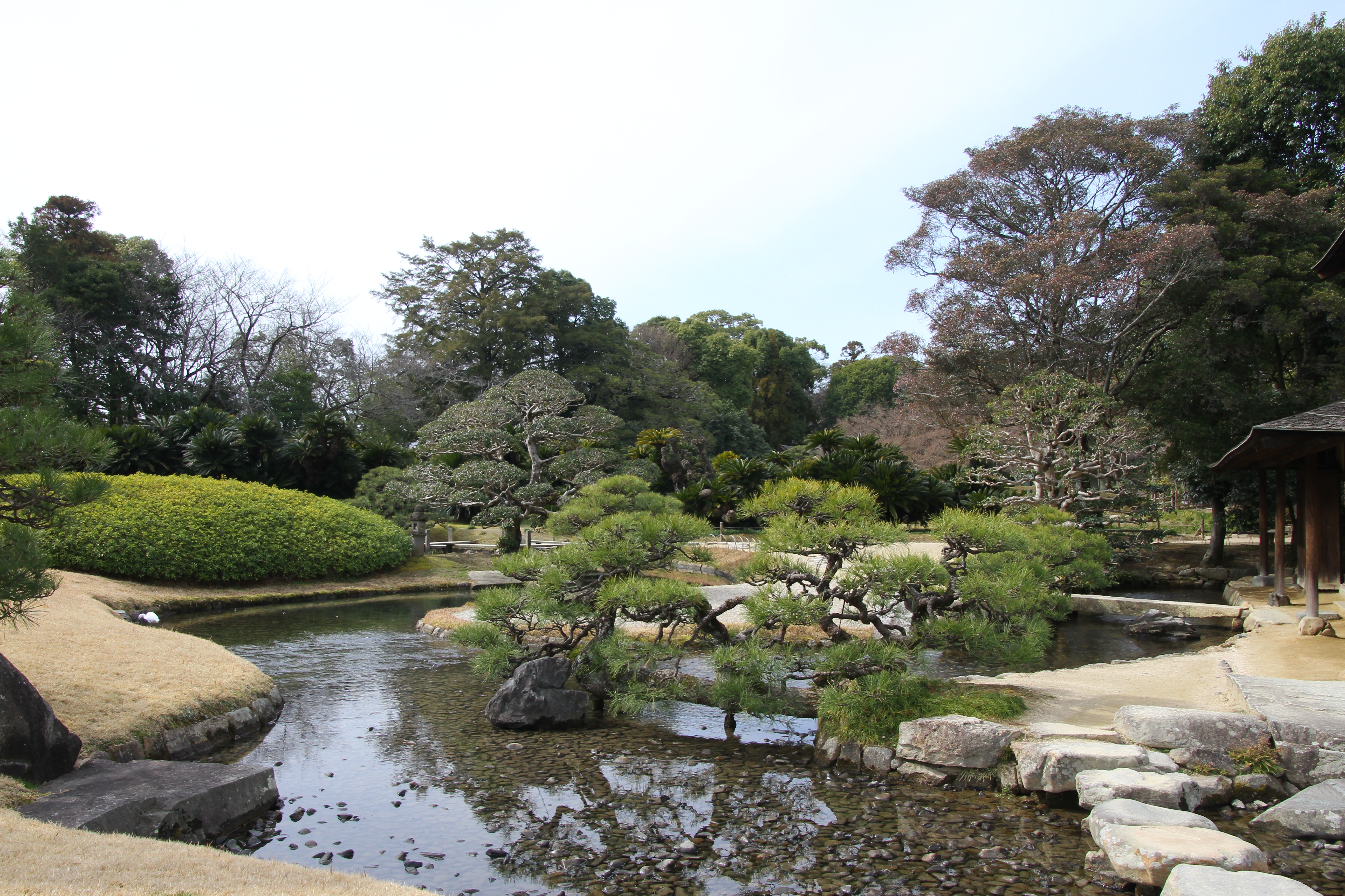 Client meeting + calm Tokyo (Hamarikyu, Tokyo Tower)