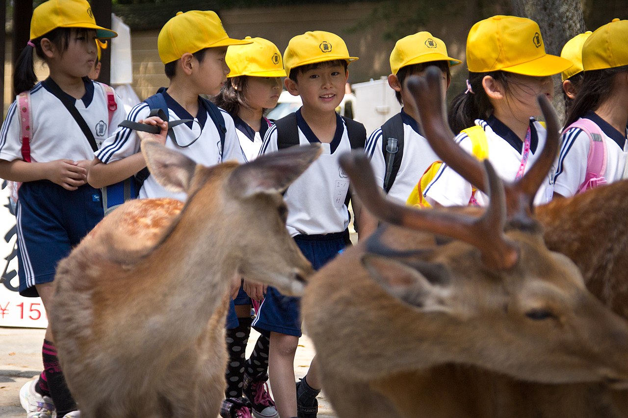 Nara day-trip, the deer park